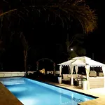 Brachychiton Ostuni