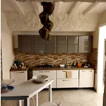 Brachychiton Ostuni