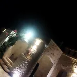 Brachychiton * Ostuni