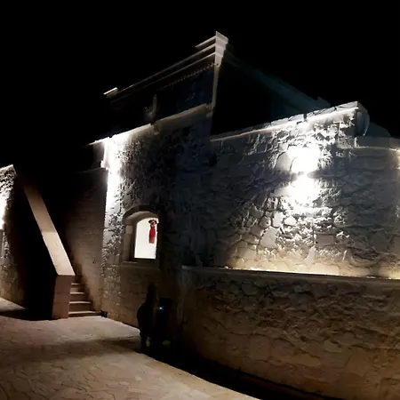 Brachychiton Ostuni