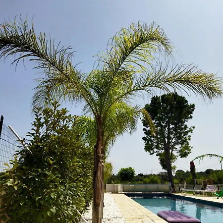 Ferienhaus Brachychiton *