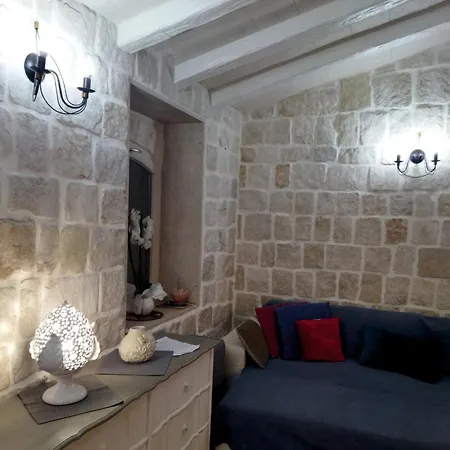 Brachychiton Ostuni