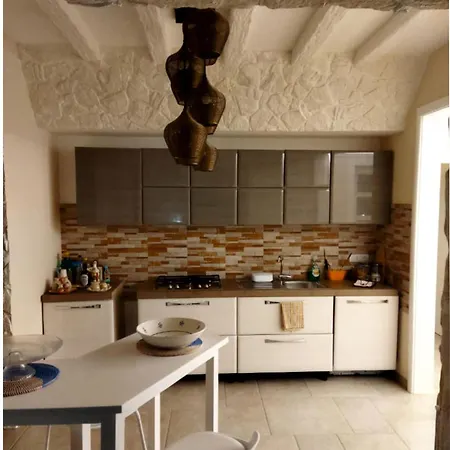 Brachychiton Ostuni