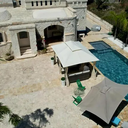 Brachychiton Ostuni