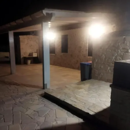 Brachychiton Ostuni