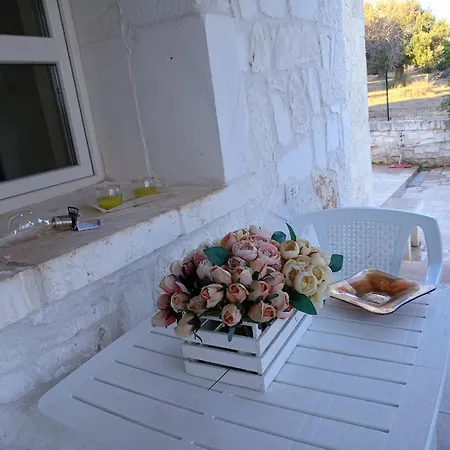 Brachychiton Ferienhaus Ostuni