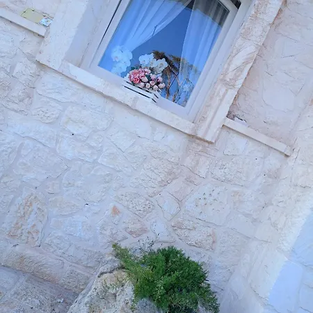 Ferienhaus Brachychiton