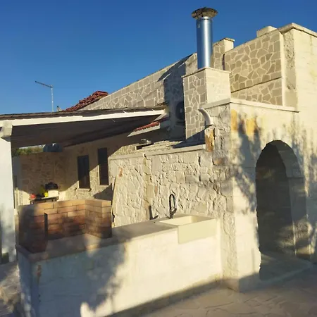 Brachychiton Ostuni