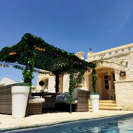 Brachychiton Ostuni