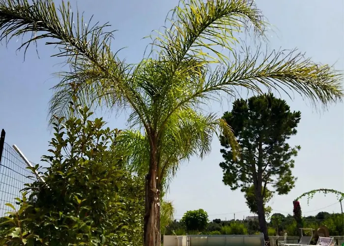 Casa vacanze Brachychiton *