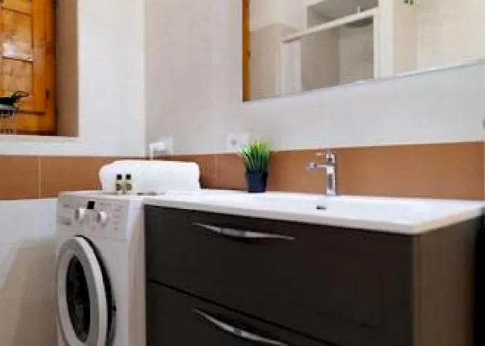 Brachychiton * Ostuni