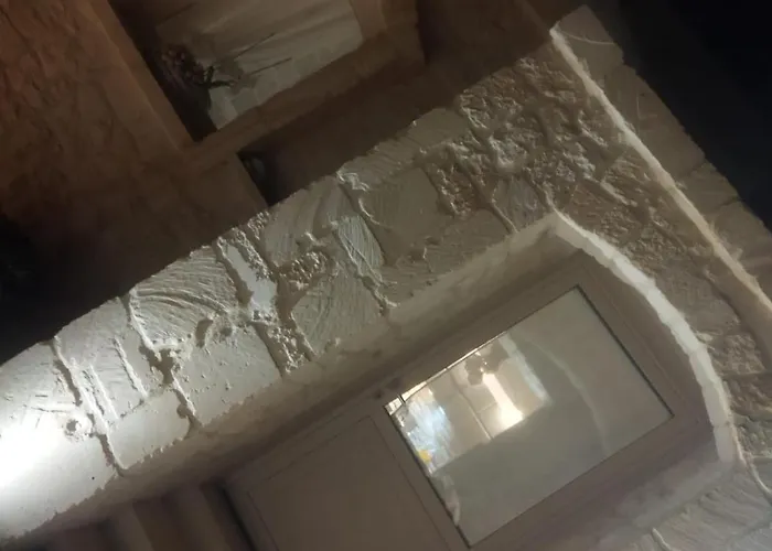 Brachychiton * Ostuni