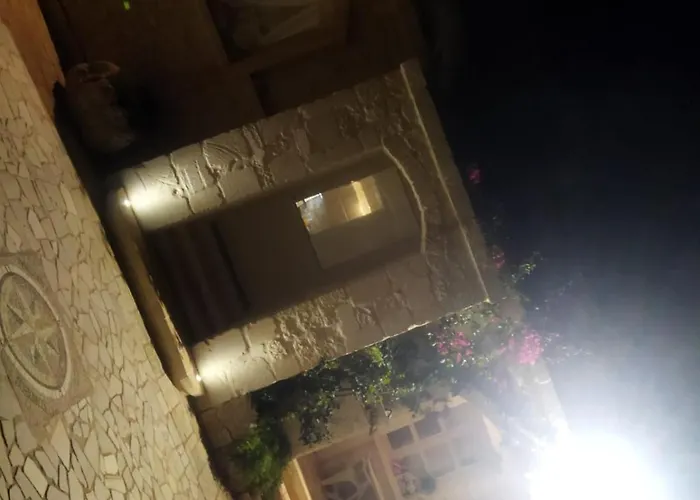 Brachychiton Ostuni