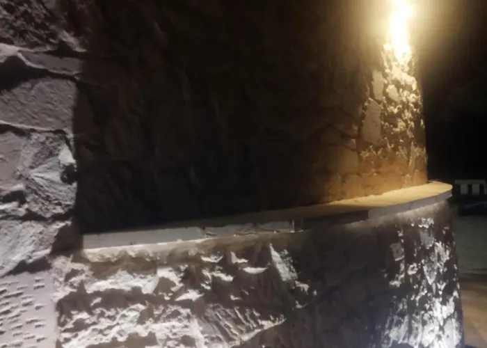 Brachychiton * Ostuni