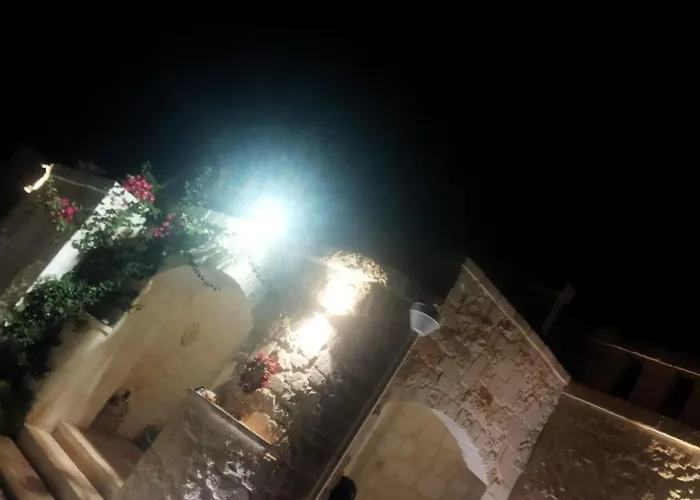 Brachychiton * Ostuni