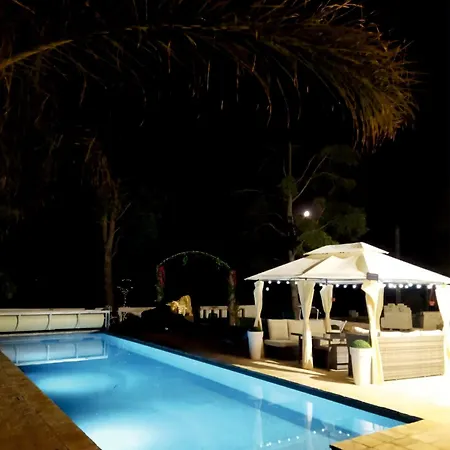 Brachychiton Ostuni