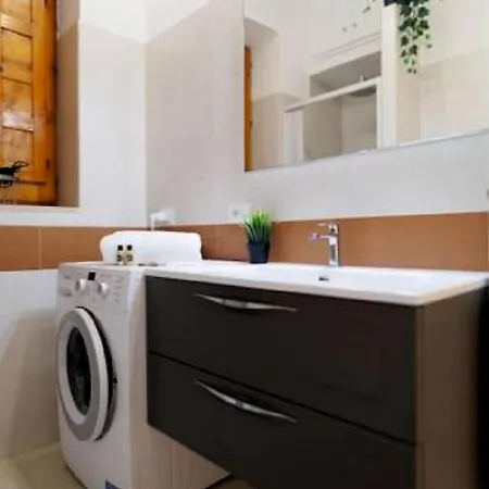 Brachychiton * Ostuni