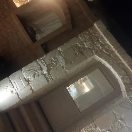 Brachychiton * Ostuni