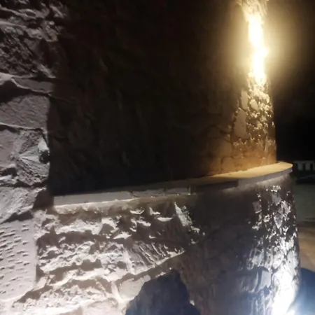 Brachychiton * Ostuni