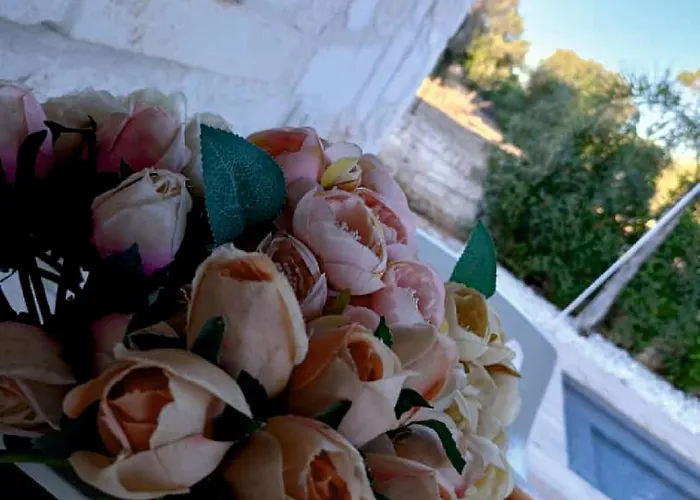 Casa vacanze Brachychiton *