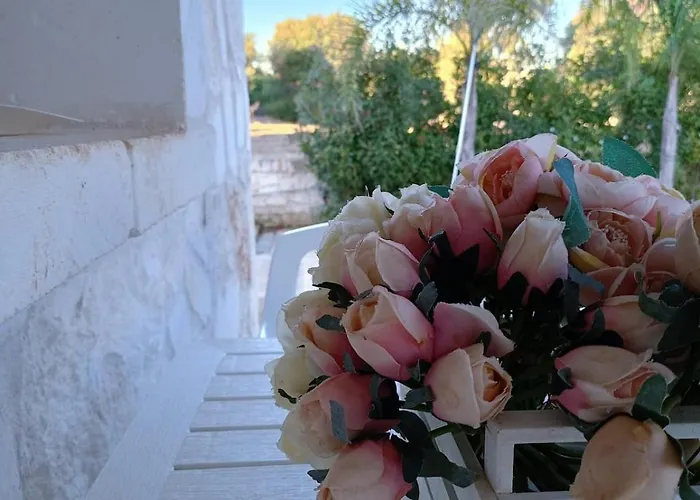 Brachychiton * Ostuni